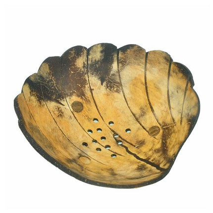 Kokosnoot zeephouder in vorm van schelp