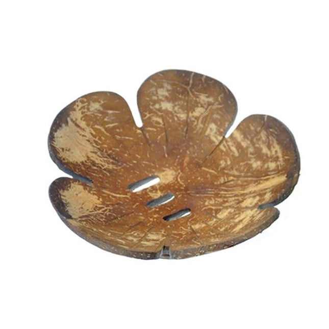 Natuurlijk zeepschaaltje van kokosnoot