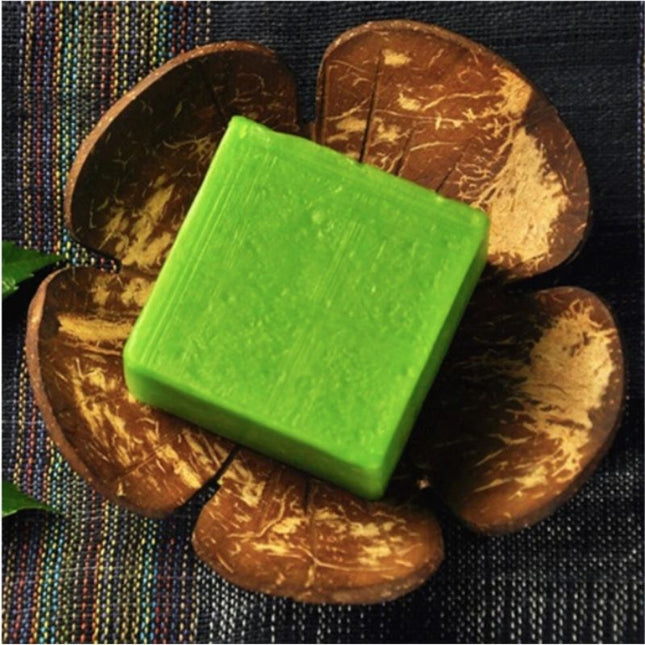 Natuurlijk zeepschaaltje van kokosnoot